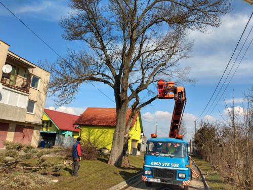 Orezávanie stromov v obci, marec 2020