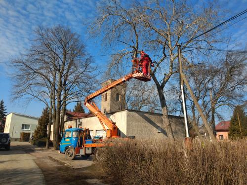 Orezávanie stromov v obci, marec 2020